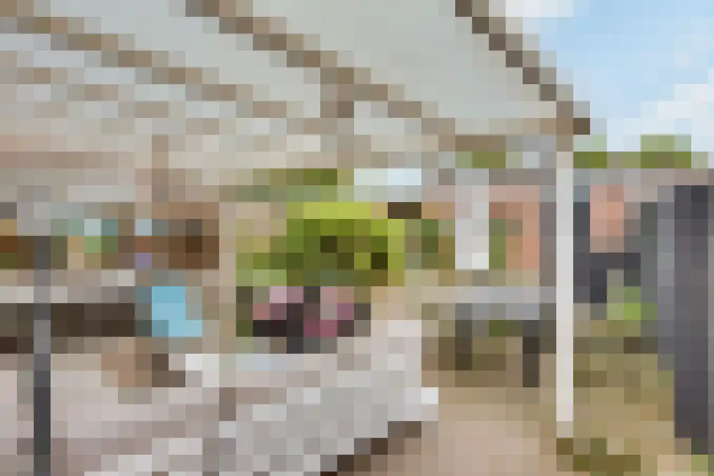 Esdoorn 2 Oost West en Middelbeers thumbnail 30