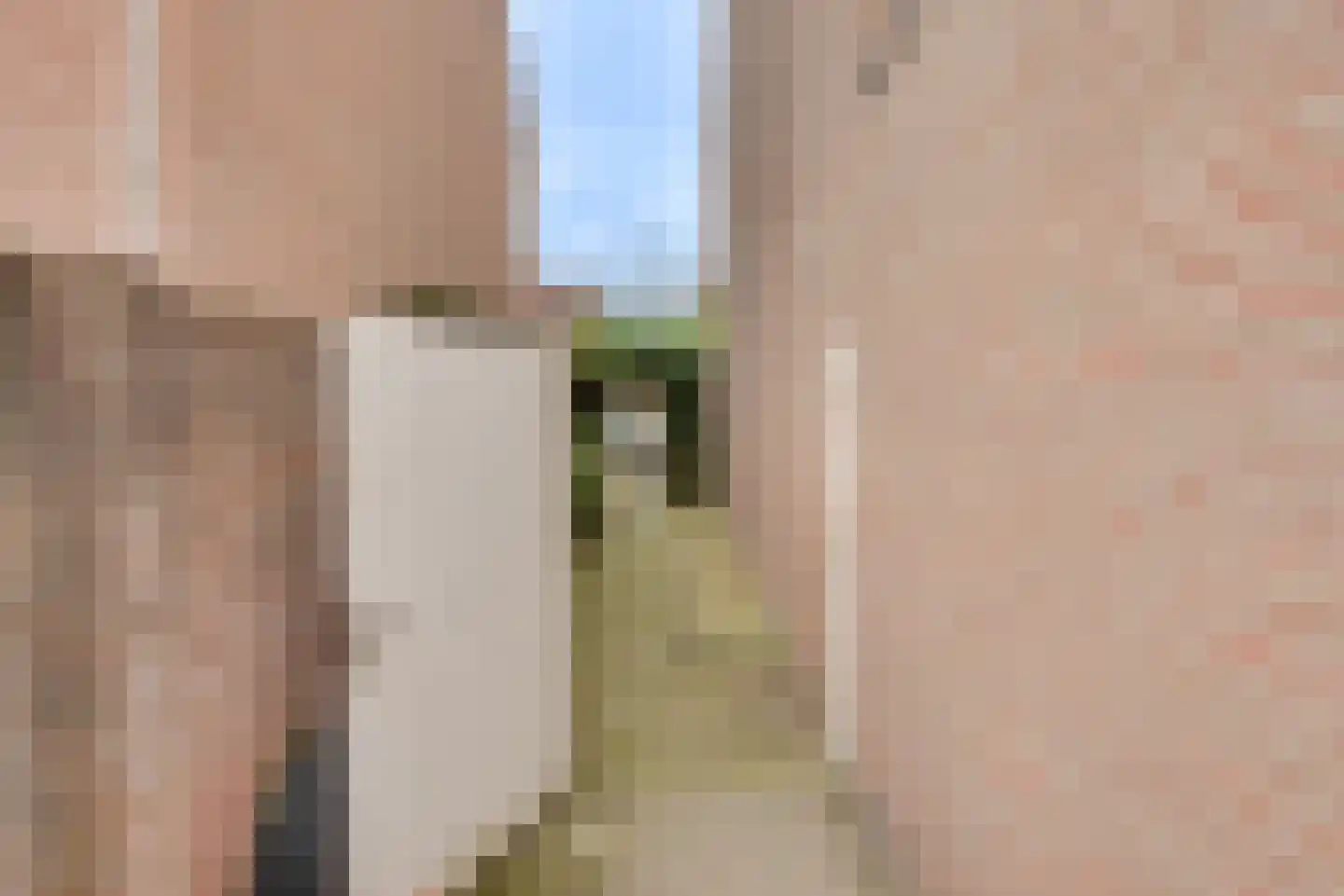 Esdoorn 2 Oost West en Middelbeers thumbnail 35