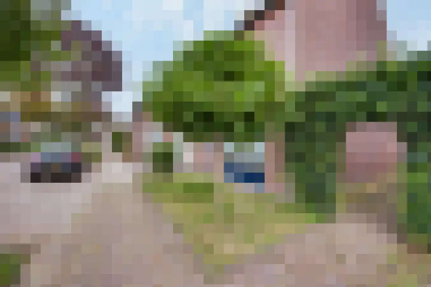 Esdoorn 2 Oost West en Middelbeers thumbnail 8