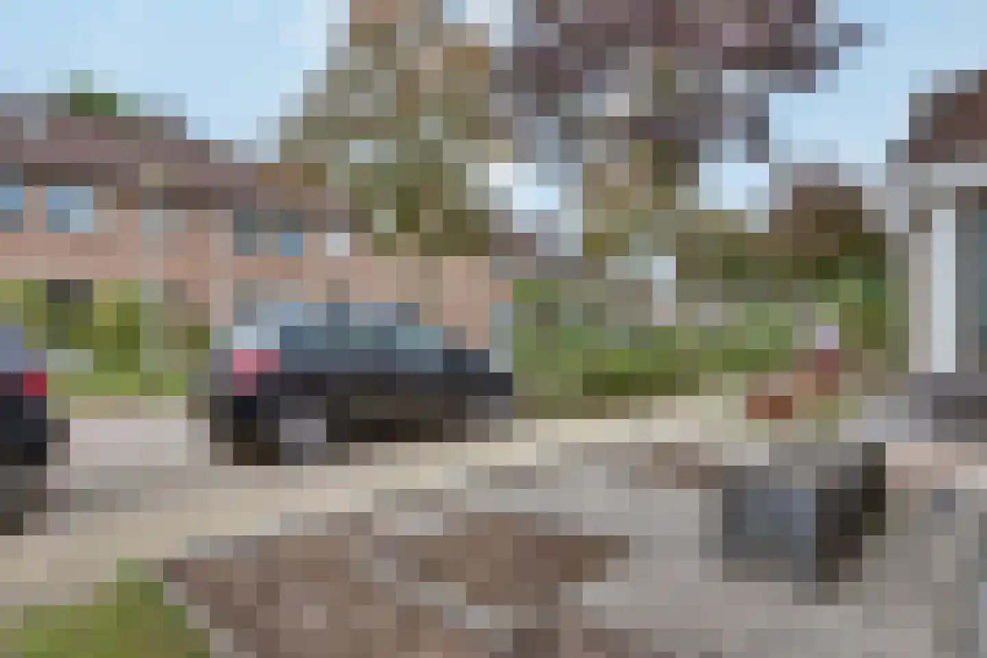 Esdoorn 2 Oost West en Middelbeers thumbnail 9