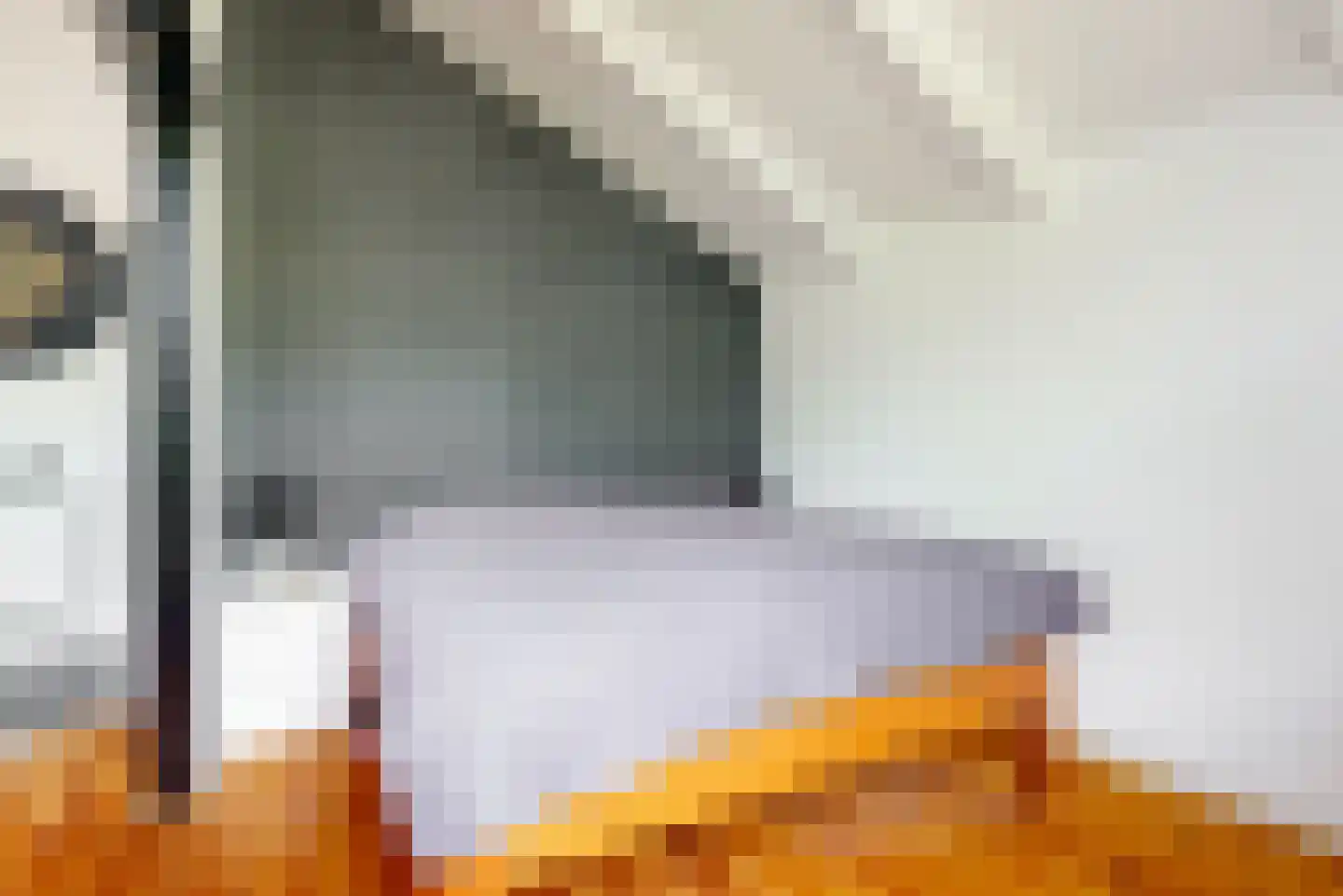 Esdoorn 22 Maassluis thumbnail 30