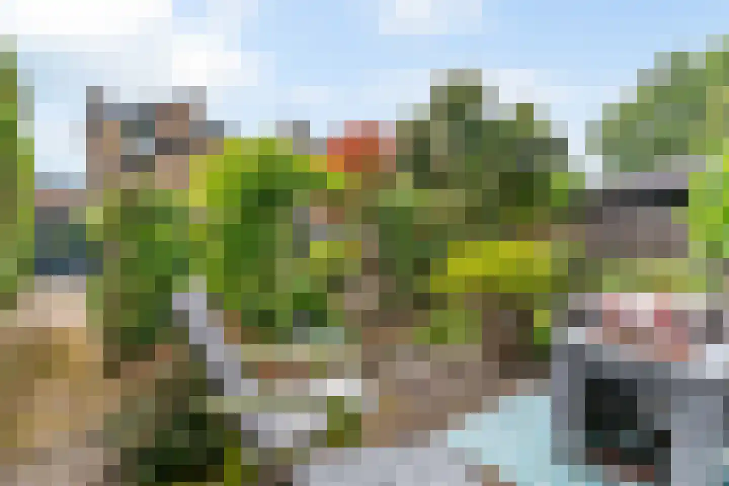 Esdoorn 22 Maassluis thumbnail 46