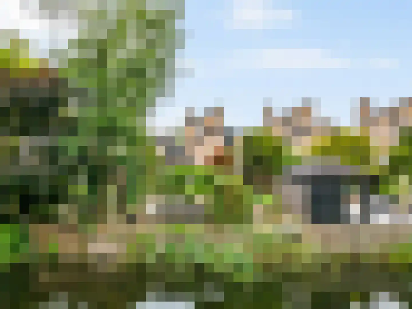 Esdoorn 22 Maassluis thumbnail 51