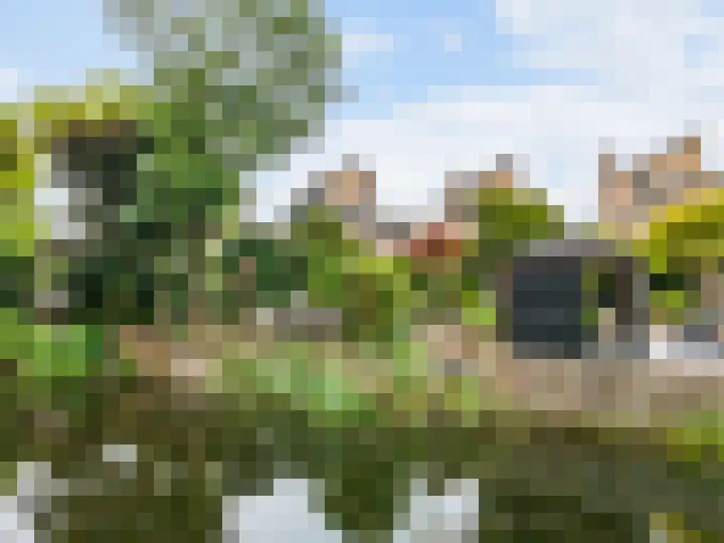 Esdoorn 22 Maassluis thumbnail 52