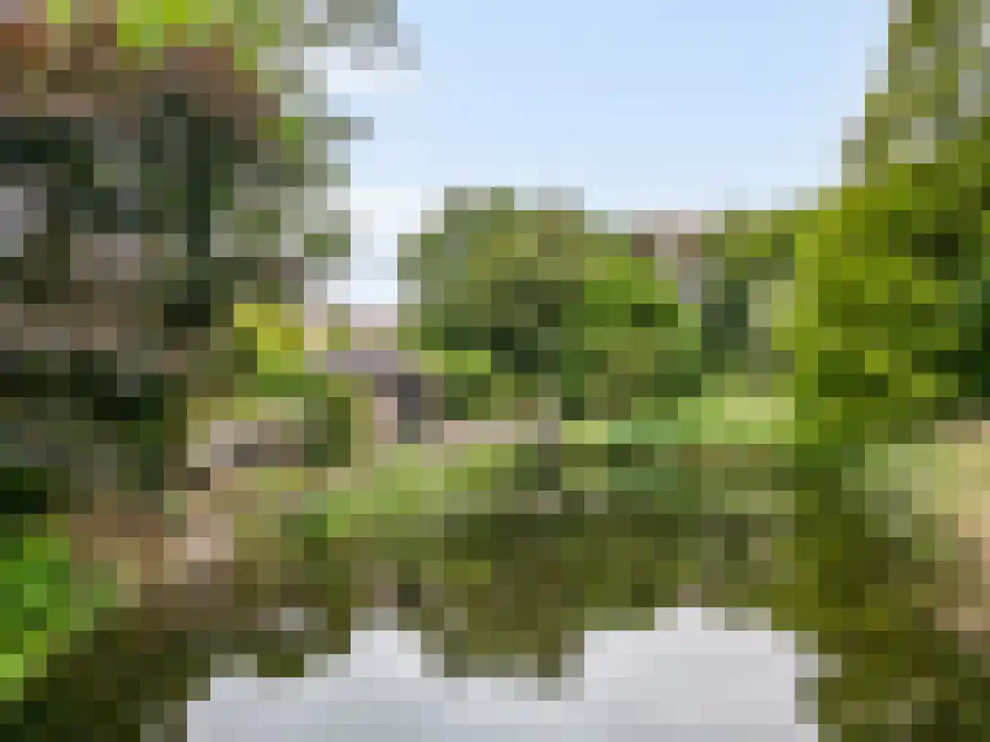 Esdoorn 22 Maassluis thumbnail 54
