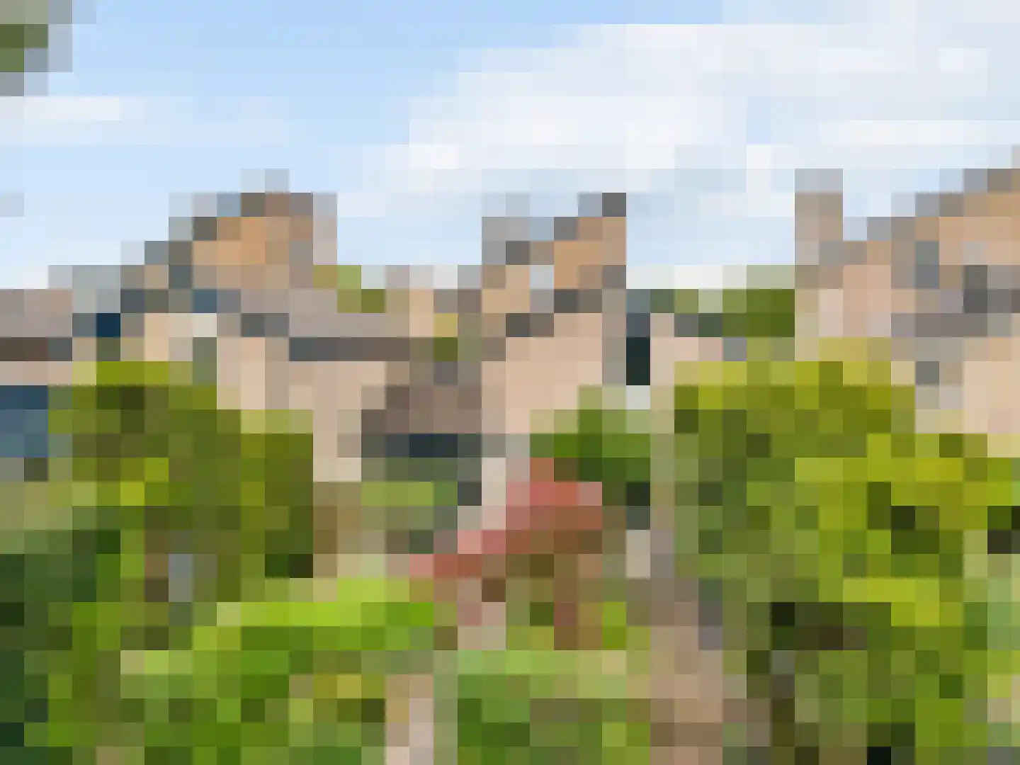Esdoorn 22 Maassluis thumbnail 6