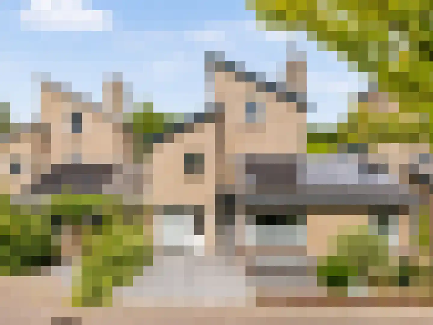 Esdoorn 22 Maassluis thumbnail 7