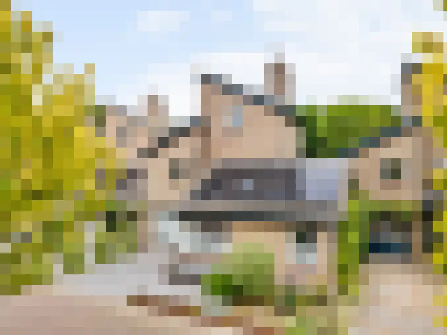 Esdoorn 22 Maassluis thumbnail 8