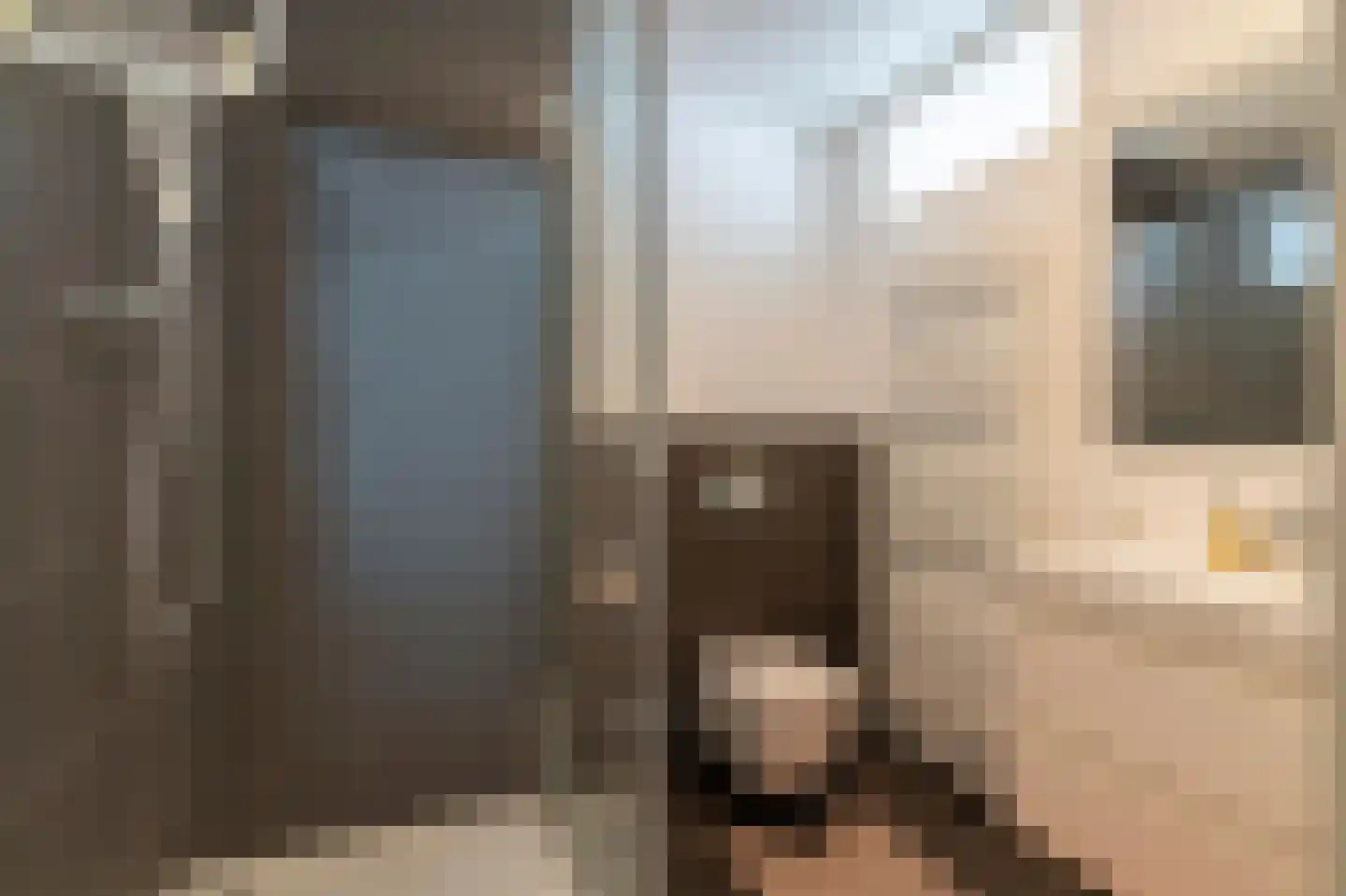 Esdoorn 24 A Maastricht thumbnail 17