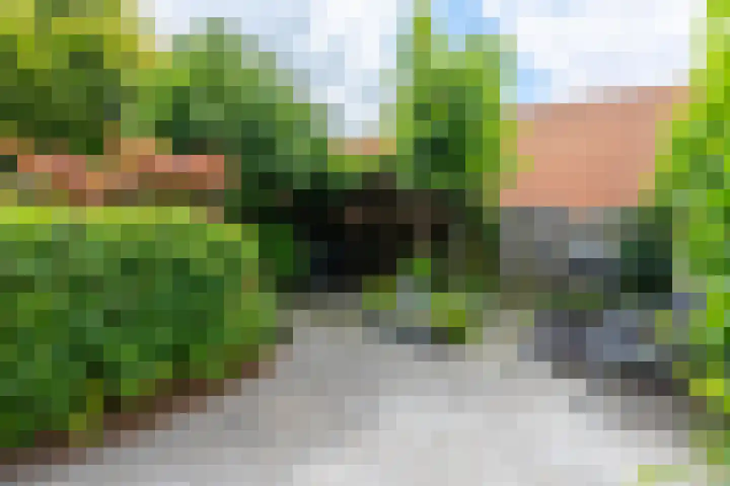 Esdoorn 24 A Maastricht thumbnail 19