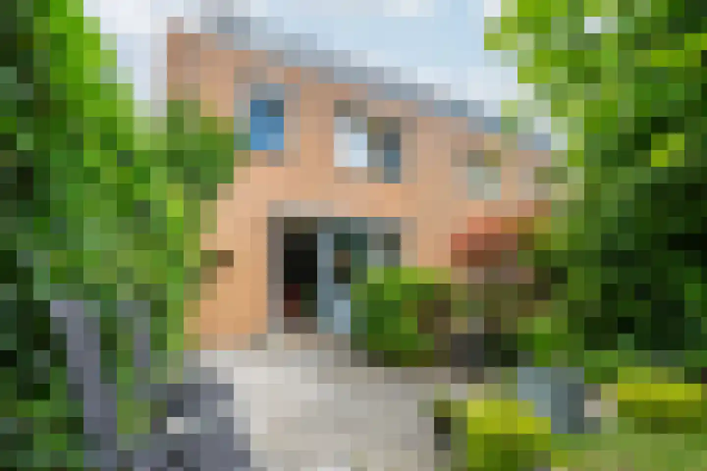 Esdoorn 24 A Maastricht thumbnail 21