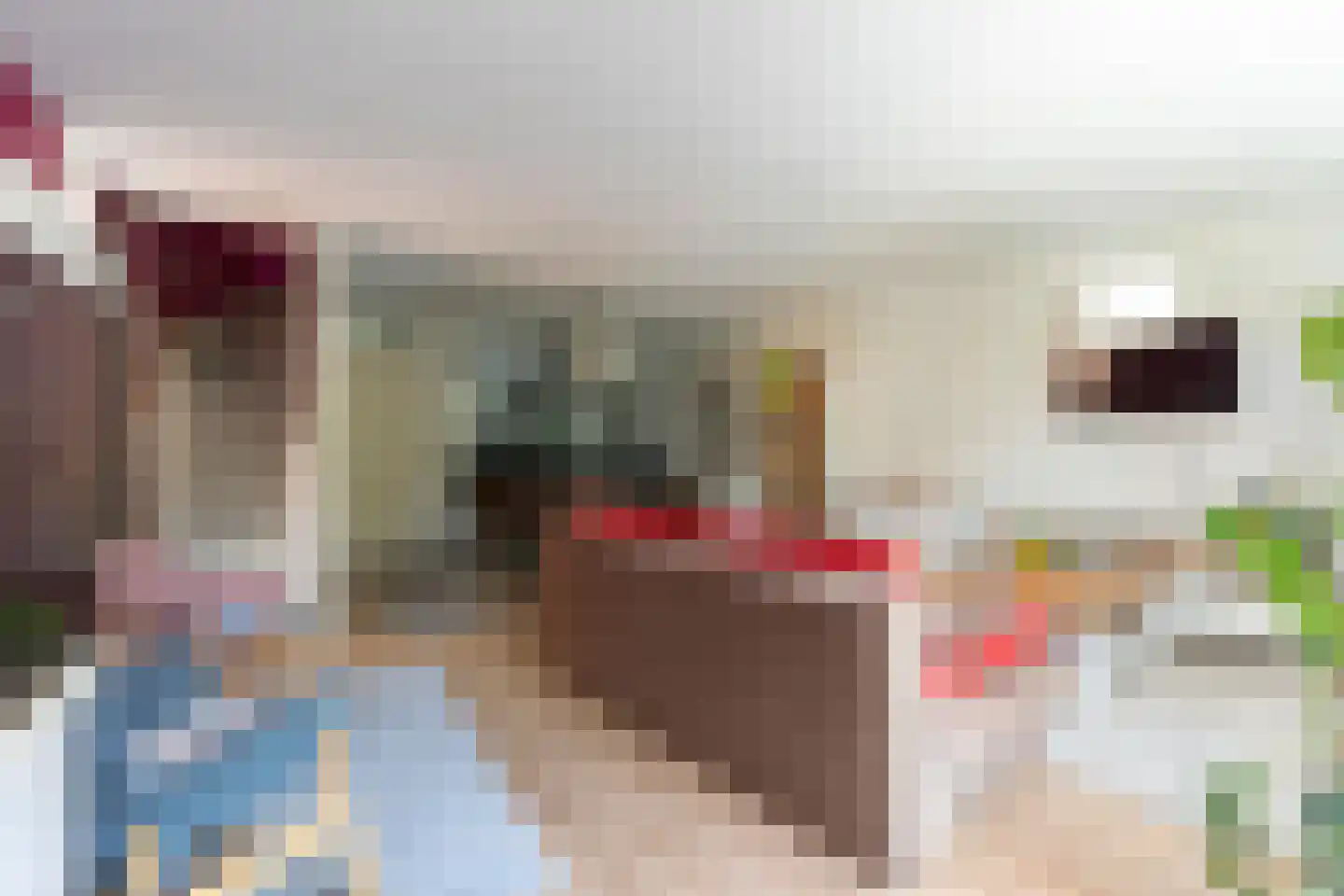 Esdoorn 24 A Maastricht thumbnail 4