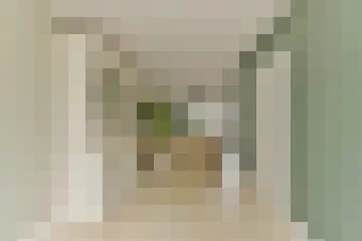 Esdoorn 25 Odijk thumbnail 11