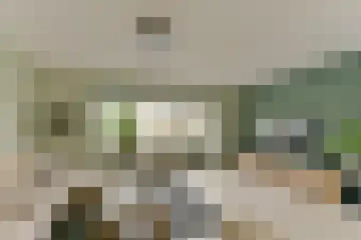 Esdoorn 25 Odijk thumbnail 12