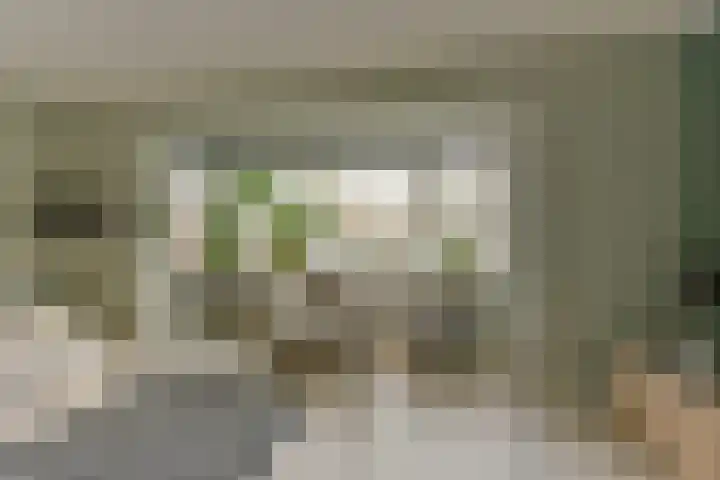 Esdoorn 25 Odijk thumbnail 14