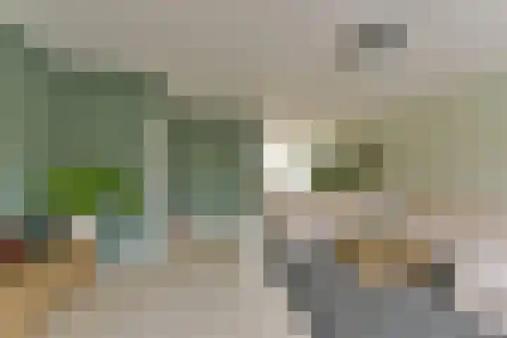 Esdoorn 25 Odijk thumbnail 15