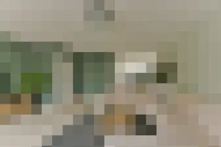 Esdoorn 25 Odijk thumbnail 16