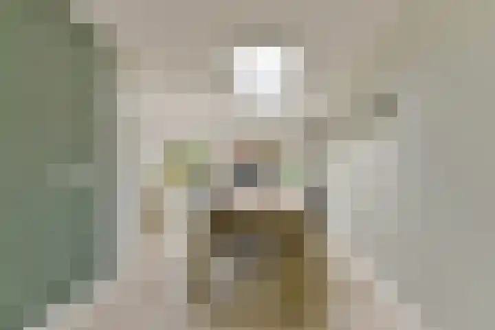 Esdoorn 25 Odijk thumbnail 17