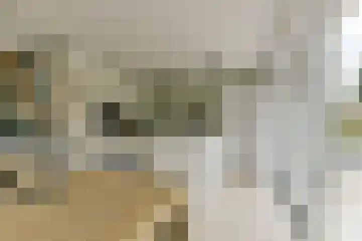 Esdoorn 25 Odijk thumbnail 18