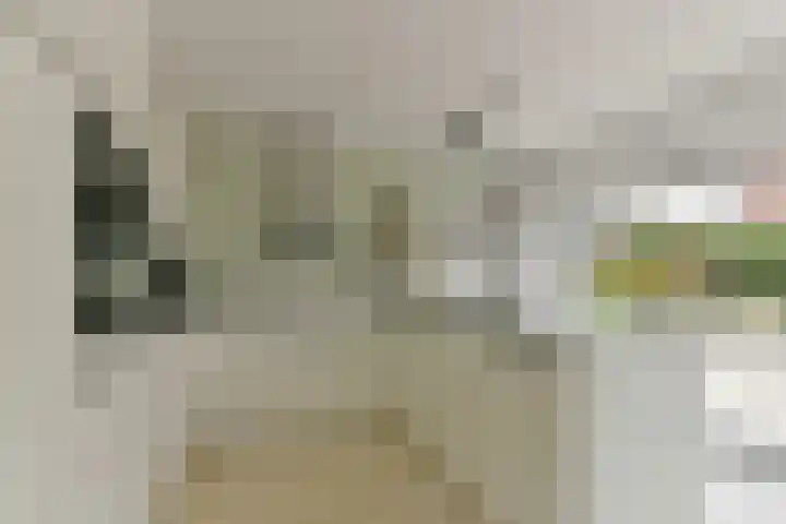 Esdoorn 25 Odijk thumbnail 20