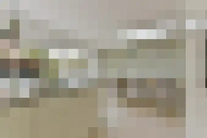 Esdoorn 25 Odijk thumbnail 22