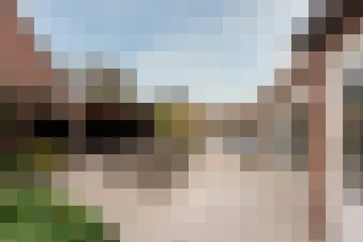 Esdoorn 25 Odijk thumbnail 26