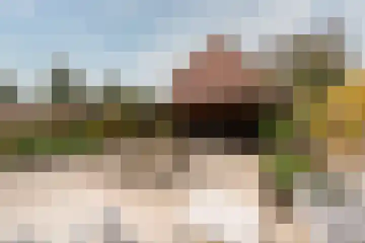 Esdoorn 25 Odijk thumbnail 27