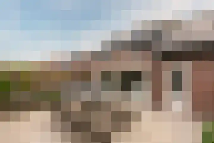 Esdoorn 25 Odijk thumbnail 28