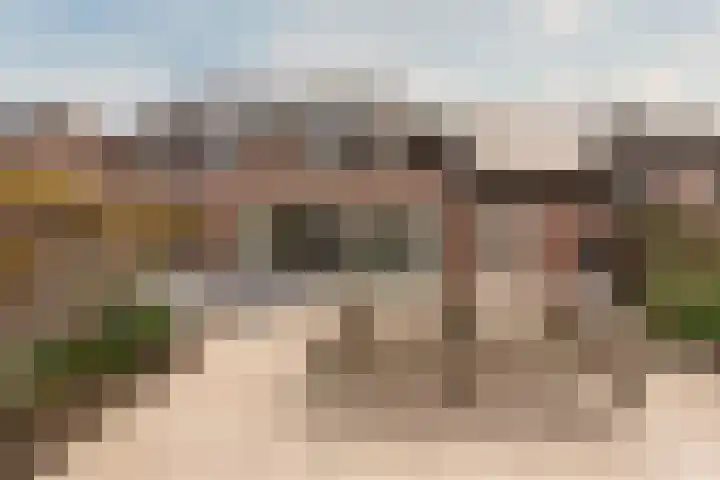 Esdoorn 25 Odijk thumbnail 30