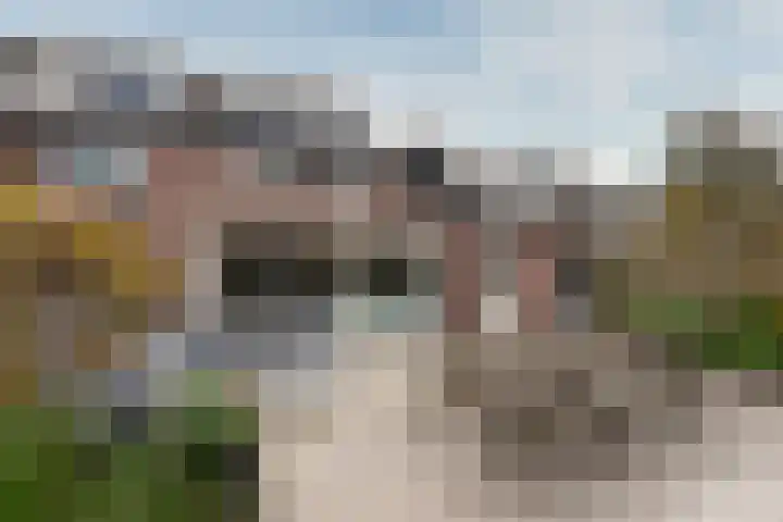 Esdoorn 25 Odijk thumbnail 31