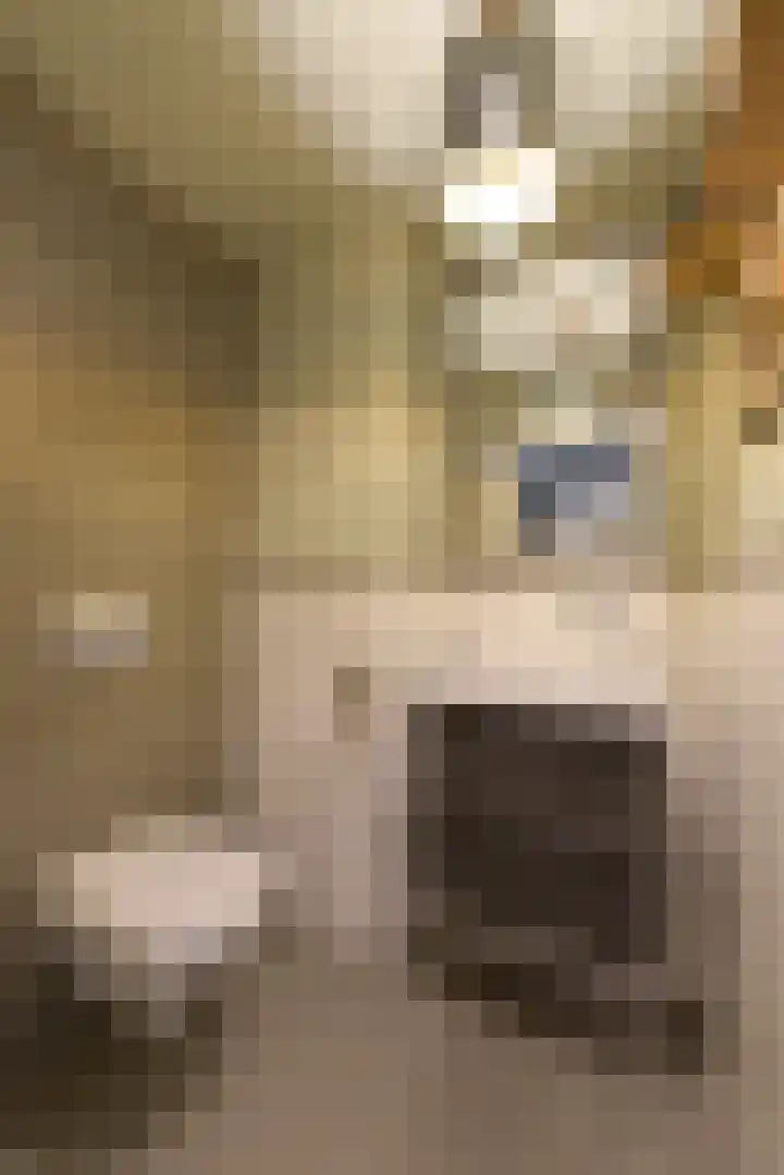 Esdoorn 25 Odijk thumbnail 33