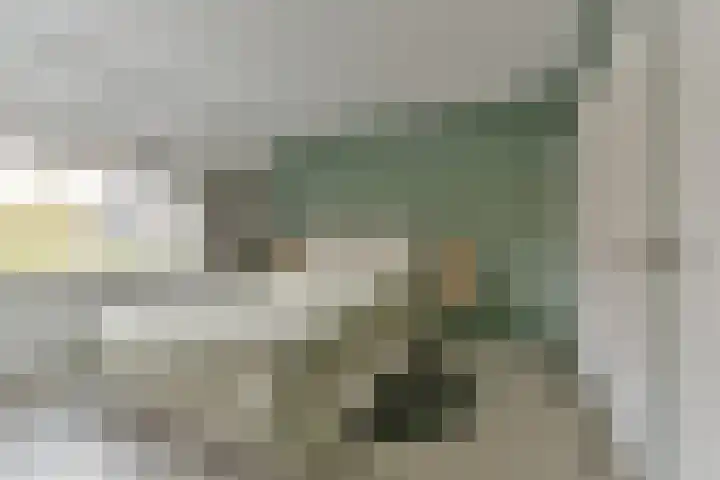 Esdoorn 25 Odijk thumbnail 35