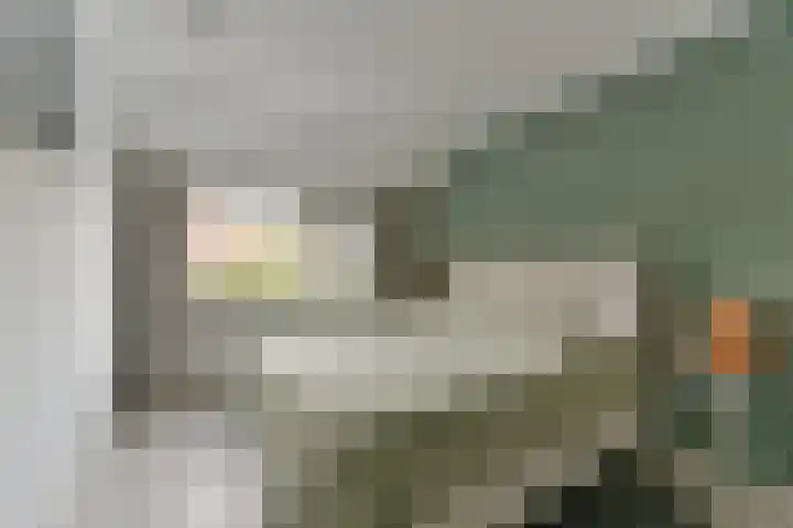 Esdoorn 25 Odijk thumbnail 36