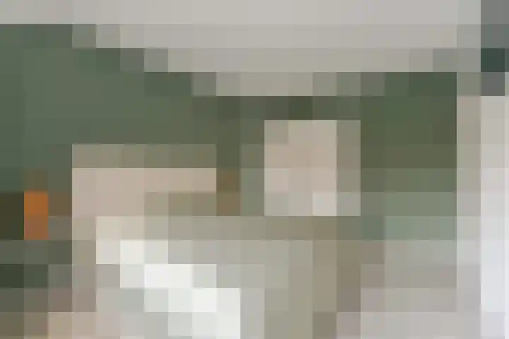 Esdoorn 25 Odijk thumbnail 37