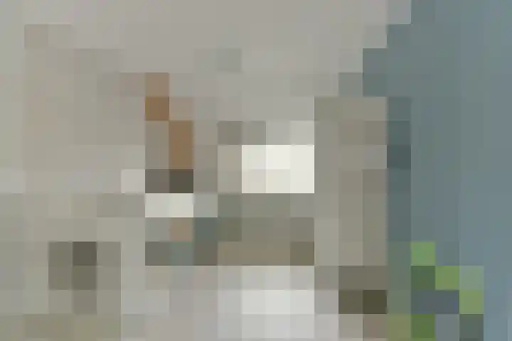 Esdoorn 25 Odijk thumbnail 38