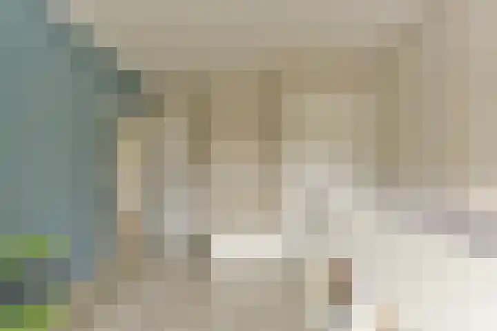 Esdoorn 25 Odijk thumbnail 39