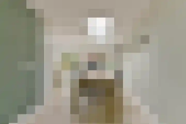 Esdoorn 25 Odijk thumbnail 4