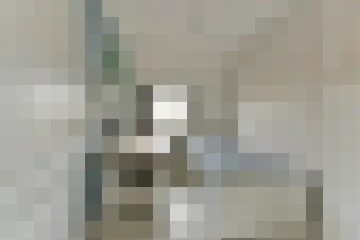 Esdoorn 25 Odijk thumbnail 41