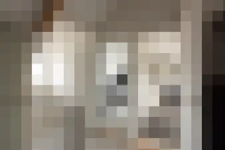 Esdoorn 25 Odijk thumbnail 45