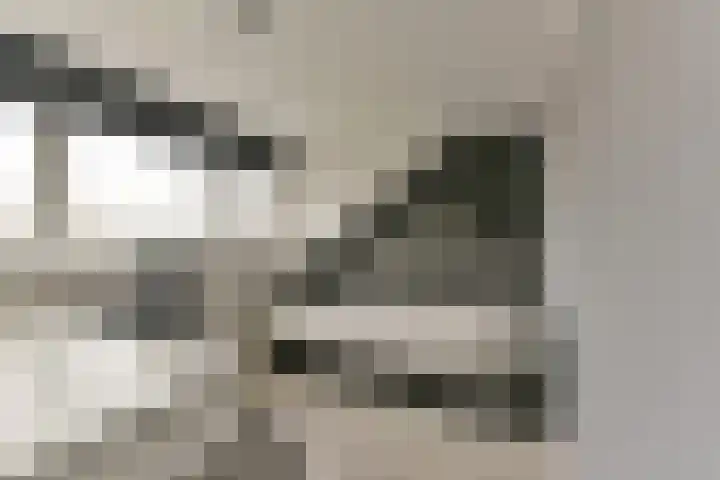 Esdoorn 25 Odijk thumbnail 46