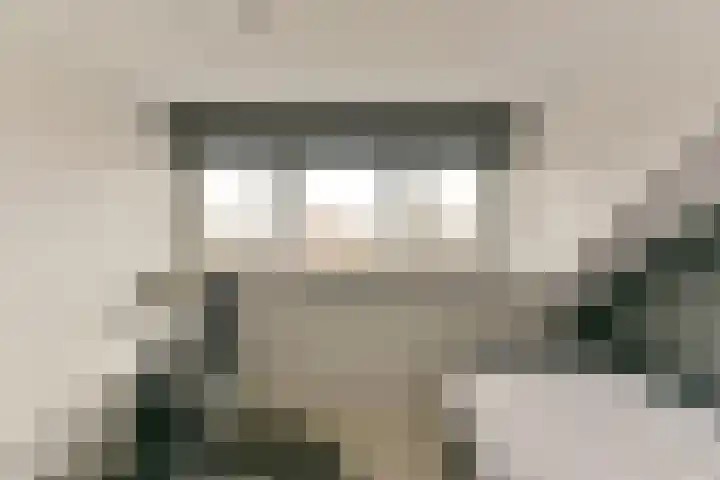Esdoorn 25 Odijk thumbnail 47