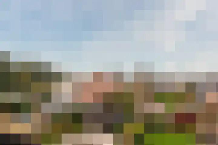 Esdoorn 25 Odijk thumbnail 48