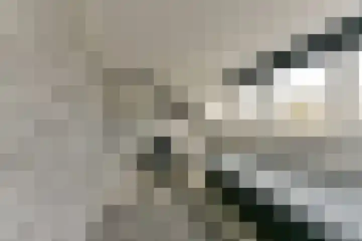 Esdoorn 25 Odijk thumbnail 49