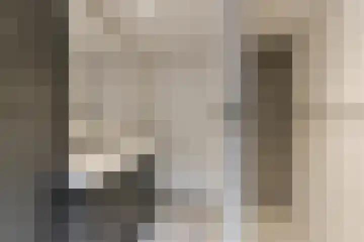 Esdoorn 25 Odijk thumbnail 5