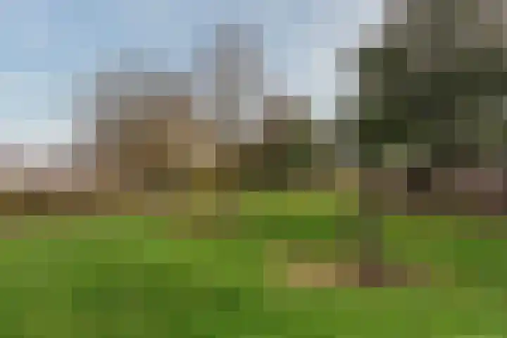 Esdoorn 25 Odijk thumbnail 50