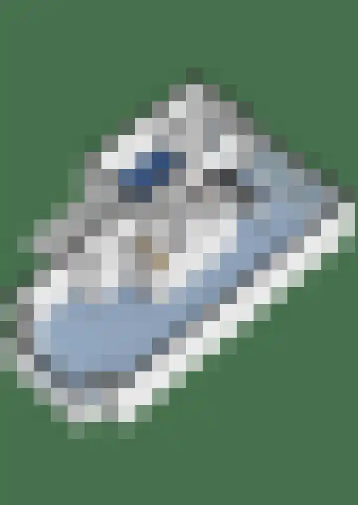 Esdoorn 25 Odijk thumbnail 52