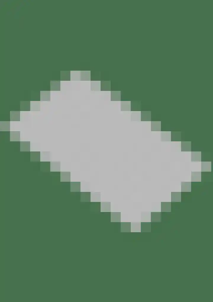 Esdoorn 25 Odijk thumbnail 58