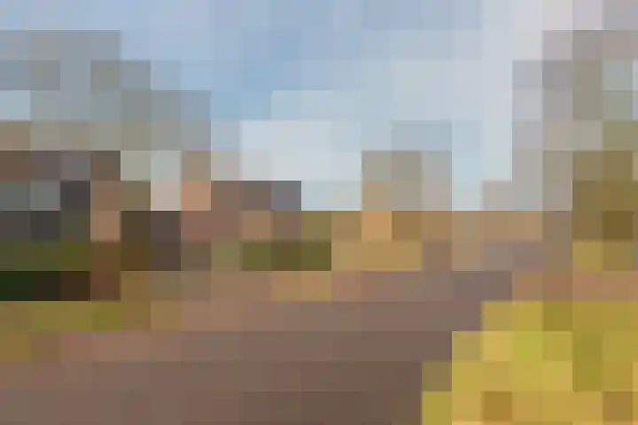 Esdoorn 25 Odijk thumbnail 8