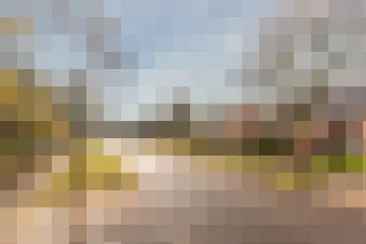 Esdoorn 25 Odijk thumbnail 9