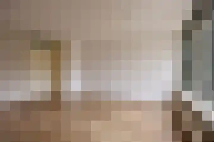 Esdoorn 28 Odijk thumbnail 11